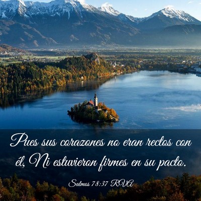 Picture 03 - Salmos 78:37 RVA - Pues sus corazones no eran rectos con él, Ni - Bible Verse Picture