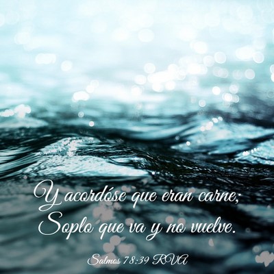 Picture 03 - Salmos 78:39 RVA - Y acordóse que eran carne; Soplo que va y no - Bible Verse Picture