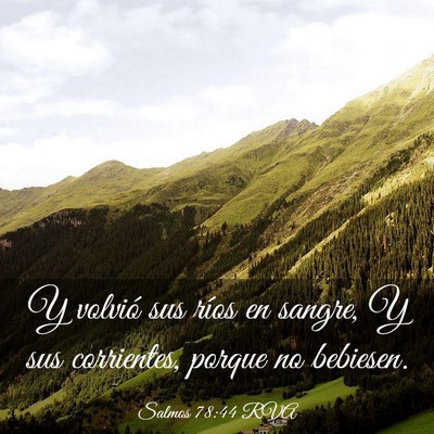 Picture 03 - Salmos 78:44 RVA - Y volvió sus ríos en sangre, Y sus corrientes, - Bible Verse Picture