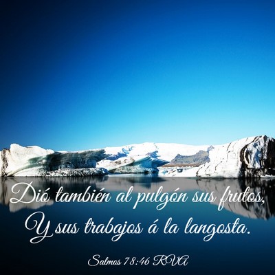 Picture 03 - Salmos 78:46 RVA - Dió también al pulgón sus frutos, Y sus - Bible Verse Picture