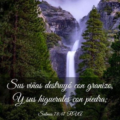 Picture 03 - Salmos 78:47 RVA - Sus viñas destruyó con granizo, Y sus - Bible Verse Picture