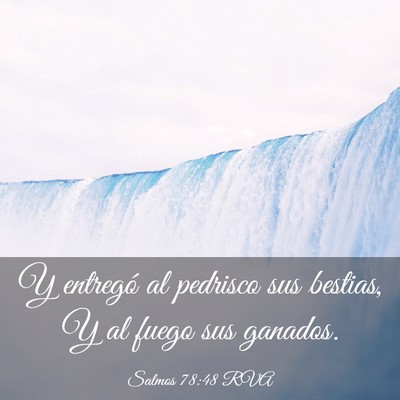 Picture 03 - Salmos 78:48 RVA - Y entregó al pedrisco sus bestias, Y al fuego - Bible Verse Picture