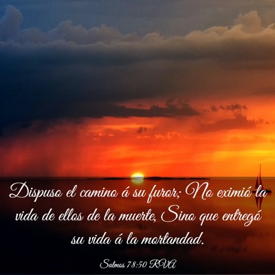 Picture 03 - Salmos 78:50 RVA - Dispuso el camino á su furor; No eximió la vida - Bible Verse Picture