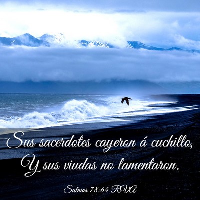 Picture 03 - Salmos 78:64 RVA - Sus sacerdotes cayeron á cuchillo, Y sus viudas - Bible Verse Picture
