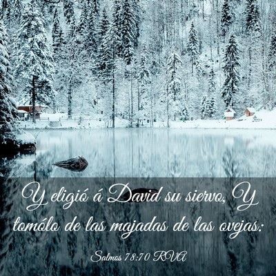 Picture 03 - Salmos 78:70 RVA - Y eligió á David su siervo, Y tomólo de las - Bible Verse Picture