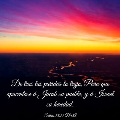 Picture 03 - Salmos 78:71 RVA - De tras las paridas lo trajo, Para que apacentase - Bible Verse Picture