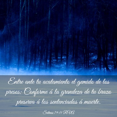 Picture 03 - Salmos 79:11 RVA - Entre ante tu acatamiento el gemido de los - Bible Verse Picture