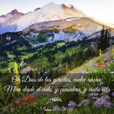 Picture 03 - Salmos 80:14 RVA - Oh Dios de los ejércitos, vuelve ahora: Mira - Bible Verse Picture