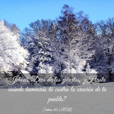 Picture 03 - Salmos 80:4 RVA - Jehová, Dios de los ejércitos, ¿Hasta cuándo - Bible Verse Picture