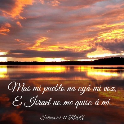 Picture 03 - Salmos 81:11 RVA - Mas mi pueblo no oyó mi voz, E Israel no me - Bible Verse Picture