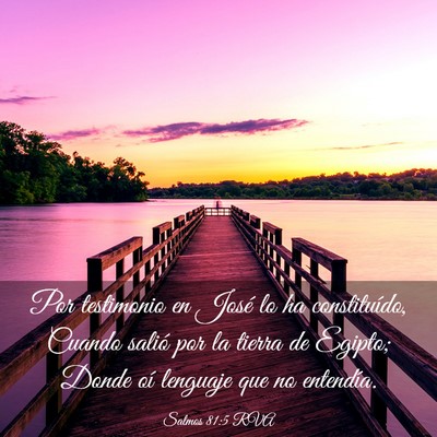 Picture 03 - Salmos 81:5 RVA - Por testimonio en José lo ha constituído, - Bible Verse Picture
