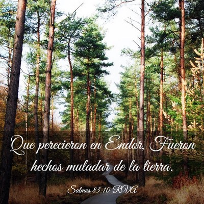Picture 03 - Salmos 83:10 RVA - Que perecieron en Endor, Fueron hechos muladar de - Bible Verse Picture
