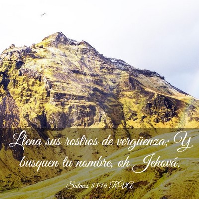Picture 03 - Salmos 83:16 RVA - Llena sus rostros de vergüenza; Y busquen tu - Bible Verse Picture