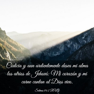 Picture 03 - Salmos 84:2 RVA - Codicia y aun ardientemente desea mi alma los - Bible Verse Picture