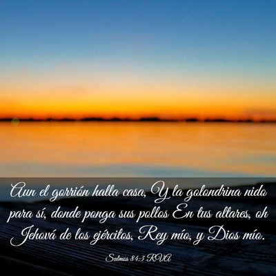 Picture 03 - Salmos 84:3 RVA - Aun el gorrión halla casa, Y la golondrina nido - Bible Verse Picture