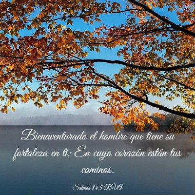 Picture 03 - Salmos 84:5 RVA - Bienaventurado el hombre que tiene su fortaleza - Bible Verse Picture