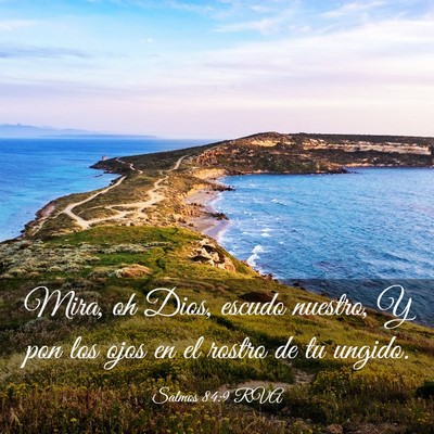Picture 03 - Salmos 84:9 RVA - Mira, oh Dios, escudo nuestro, Y pon los ojos en - Bible Verse Picture