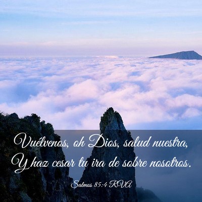 Picture 03 - Salmos 85:4 RVA - Vuélvenos, oh Dios, salud nuestra, Y haz cesar - Bible Verse Picture