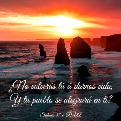 Picture 03 - Salmos 85:6 RVA - ¿No volverás tú á darnos vida, Y tu pueblo se - Bible Verse Picture