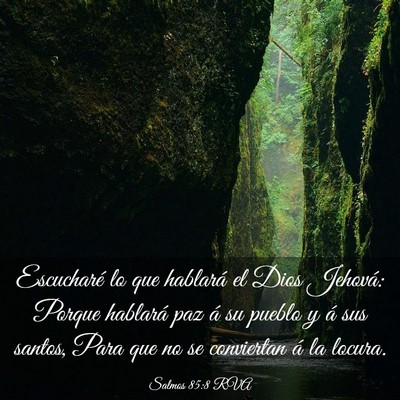Picture 03 - Salmos 85:8 RVA - Escucharé lo que hablará el Dios Jehová: - Bible Verse Picture