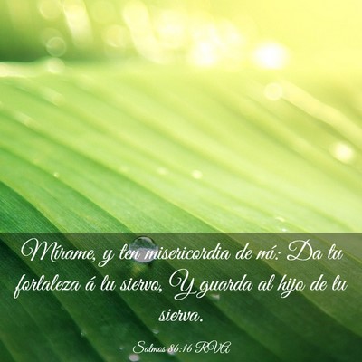 Picture 03 - Salmos 86:16 RVA - Mírame, y ten misericordia de mí: Da tu - Bible Verse Picture