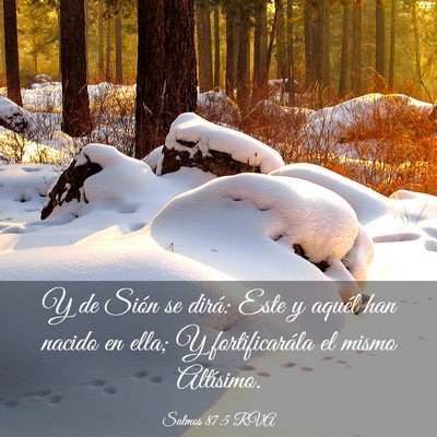 Picture 03 - Salmos 87:5 RVA - Y de Sión se dirá: Este y aquél han nacido en - Bible Verse Picture