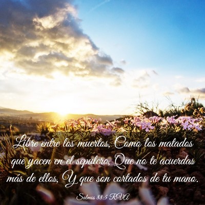 Picture 03 - Salmos 88:5 RVA - Libre entre los muertos, Como los matados que - Bible Verse Picture