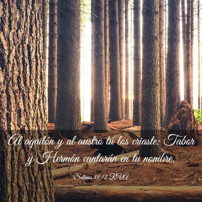 Picture 03 - Salmos 89:12 RVA - Al aquilón y al austro tú los criaste: Tabor y - Bible Verse Picture