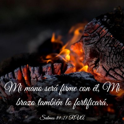 Picture 03 - Salmos 89:21 RVA - Mi mano será firme con él, Mi brazo también lo - Bible Verse Picture