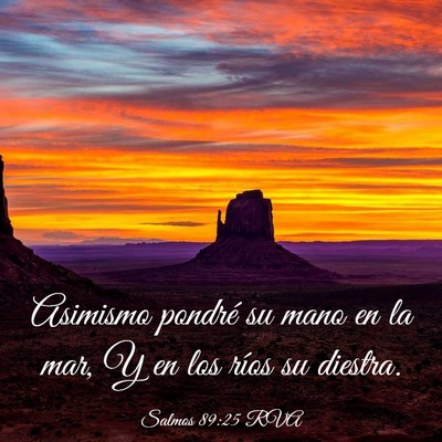 Picture 03 - Salmos 89:25 RVA - Asimismo pondré su mano en la mar, Y en los - Bible Verse Picture