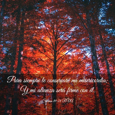 Picture 03 - Salmos 89:28 RVA - Para siempre le conservaré mi misericordia; Y mi - Bible Verse Picture