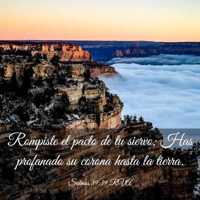 Picture 03 - Salmos 89:39 RVA - Rompiste el pacto de tu siervo; Has profanado su - Bible Verse Picture