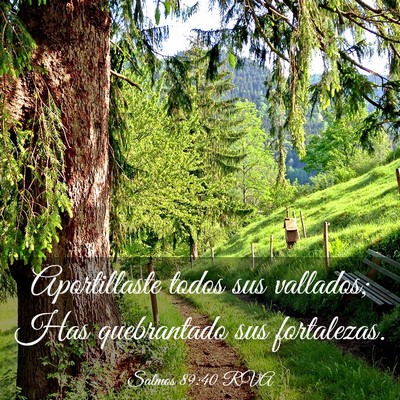 Picture 03 - Salmos 89:40 RVA - Aportillaste todos sus vallados; Has quebrantado - Bible Verse Picture
