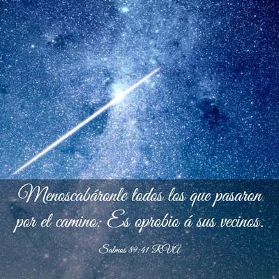 Picture 03 - Salmos 89:41 RVA - Menoscabáronle todos los que pasaron por el - Bible Verse Picture