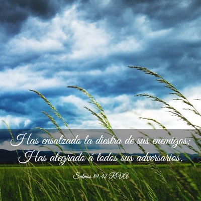 Picture 03 - Salmos 89:42 RVA - Has ensalzado la diestra de sus enemigos; Has - Bible Verse Picture