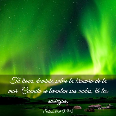 Picture 03 - Salmos 89:9 RVA - Tú tienes dominio sobre la bravura de la mar: - Bible Verse Picture