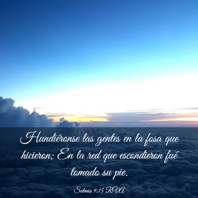 Picture 03 - Salmos 9:15 RVA - Hundiéronse las gentes en la fosa que hicieron; - Bible Verse Picture