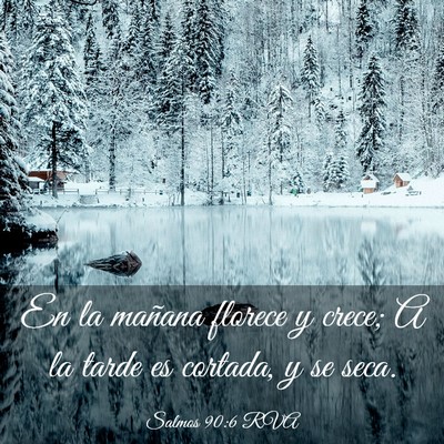 Picture 03 - Salmos 90:6 RVA - En la mañana florece y crece; A la tarde es - Bible Verse Picture