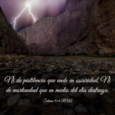 Picture 03 - Salmos 91:6 RVA - Ni de pestilencia que ande en oscuridad, Ni de - Bible Verse Picture