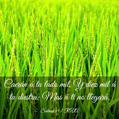 Picture 03 - Salmos 91:7 RVA - Caerán á tu lado mil, Y diez mil á tu diestra: - Bible Verse Picture