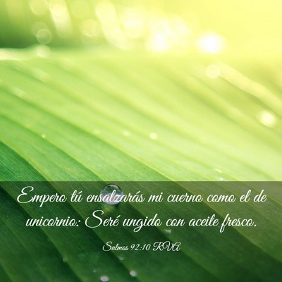 Picture 03 - Salmos 92:10 RVA - Empero tú ensalzarás mi cuerno como el de - Bible Verse Picture