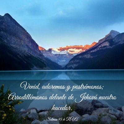Picture 03 - Salmos 95:6 RVA - Venid, adoremos y postrémonos; Arrodillémonos - Bible Verse Picture