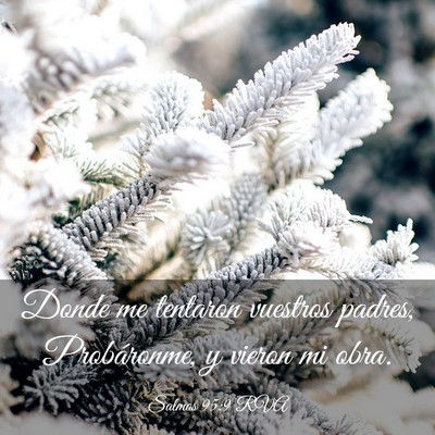 Picture 03 - Salmos 95:9 RVA - Donde me tentaron vuestros padres, Probáronme, y - Bible Verse Picture