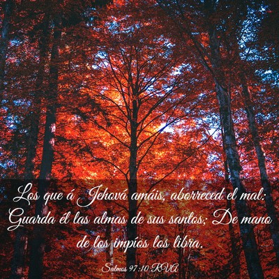 Picture 03 - Salmos 97:10 RVA - Los que á Jehová amáis, aborreced el mal: - Bible Verse Picture