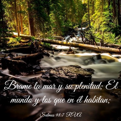 Picture 03 - Salmos 98:7 RVA - Brame la mar y su plenitud; El mundo y los que en - Bible Verse Picture
