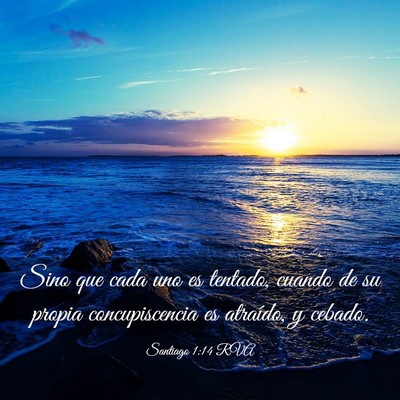 Picture 03 - Santiago 1:14 RVA - Sino que cada uno es tentado, cuando de su propia - Bible Verse Picture