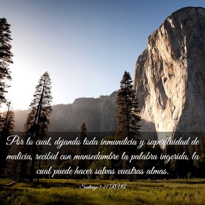 Picture 03 - Santiago 1:21 RVA - Por lo cual, dejando toda inmundicia y - Bible Verse Picture