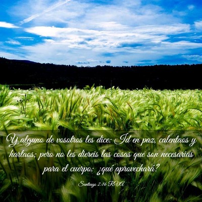 Picture 03 - Santiago 2:16 RVA - Y alguno de vosotros les dice: Id en paz, - Bible Verse Picture