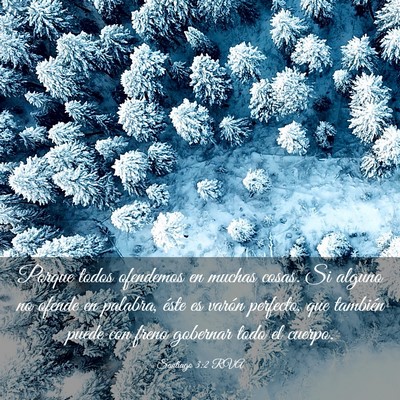 Picture 03 - Santiago 3:2 RVA - Porque todos ofendemos en muchas cosas. Si alguno - Bible Verse Picture