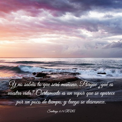 Picture 03 - Santiago 4:14 RVA - Y no sabéis lo que será mañana. Porque ¿qué - Bible Verse Picture